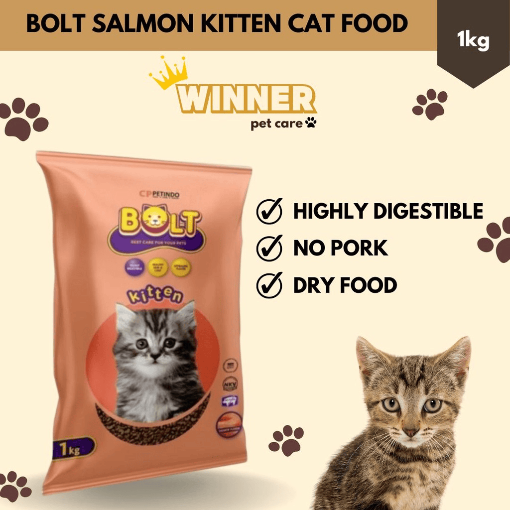 Bolt Cat Kitten Salmon