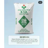 Buras / Grower B12L 
